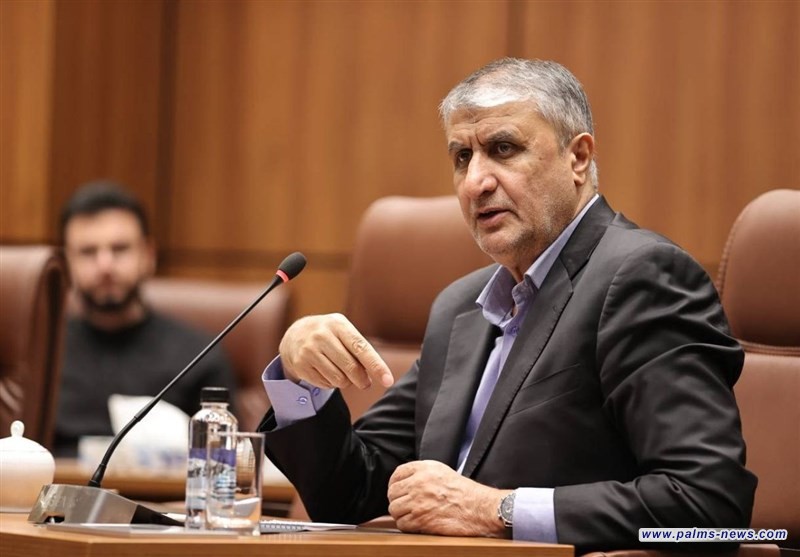 رئيس منظمة الطاقة الذرية الإيرانية: " خط أحمر بالنسبة لإيران"